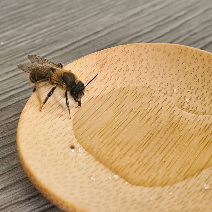 Nature Nurture Kids – wholesale DIY craft kit – Child – Bee Rescue Kit3