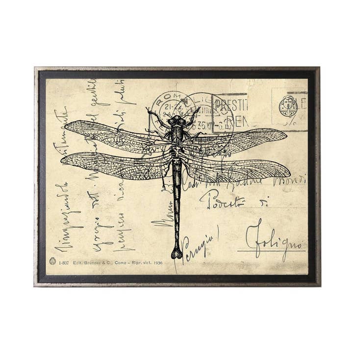 Dragonfly On Calligraphy Postcard Background for wholesale by Antique Curiosities Inc
