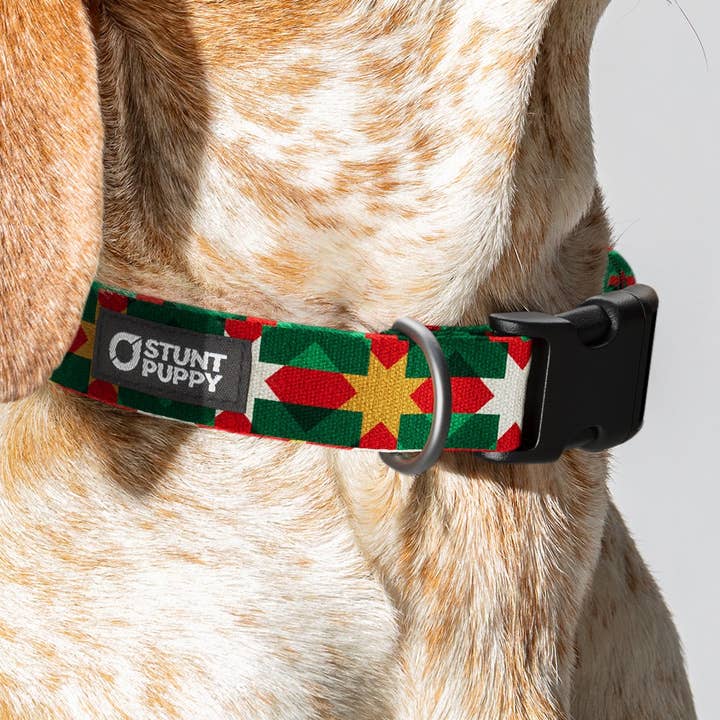 Holiday Quilt Everyday Collar for wholesale by Stunt Puppy