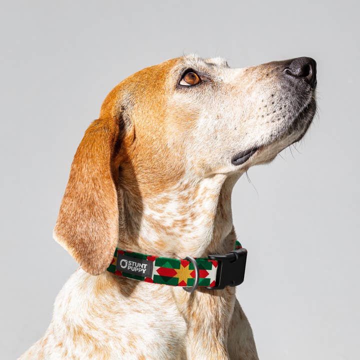 Holiday Quilt Everyday Collar for wholesale by Stunt Puppy