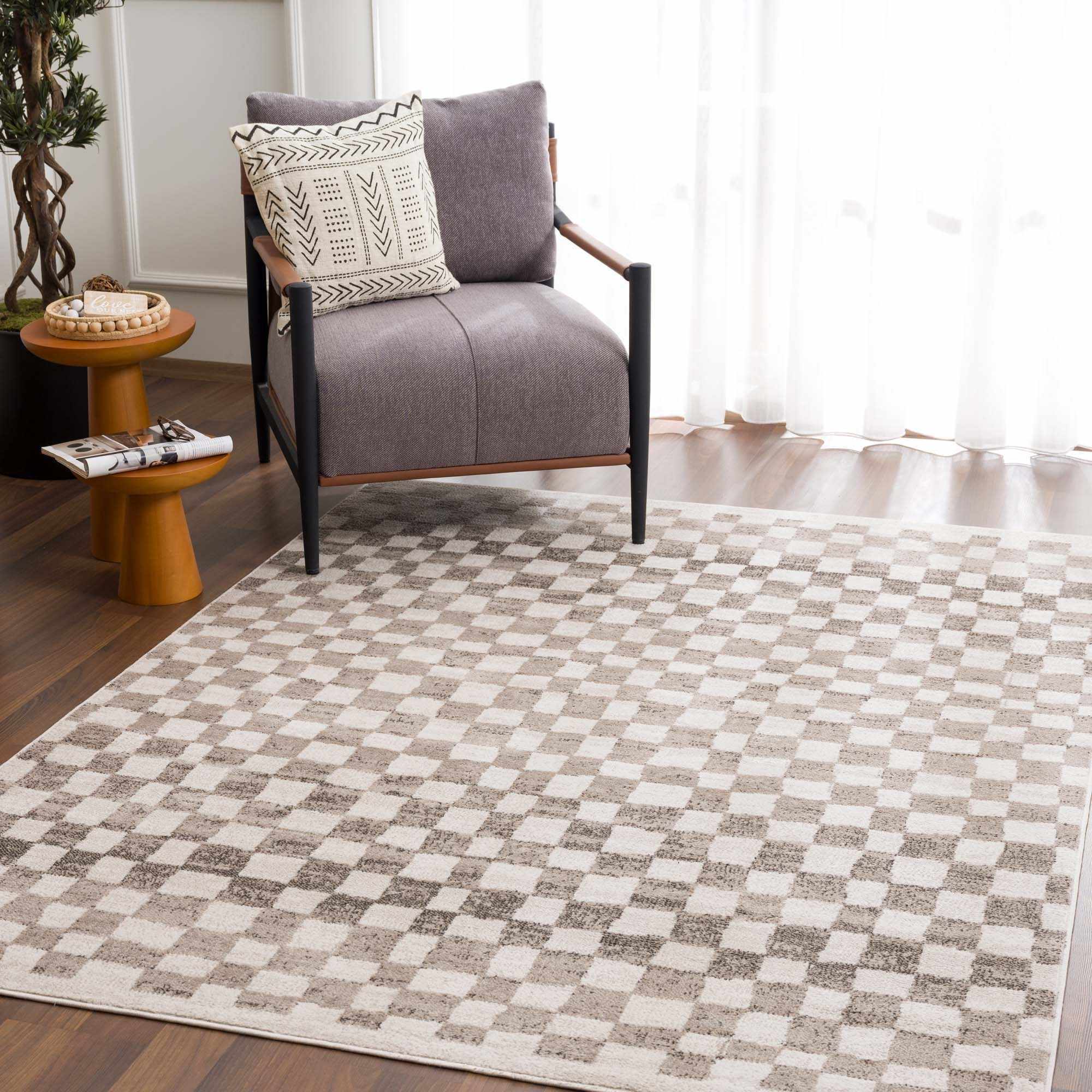Hauteloom - Wholesale Area Rug - Benjy Beige Checkered Area Rug4