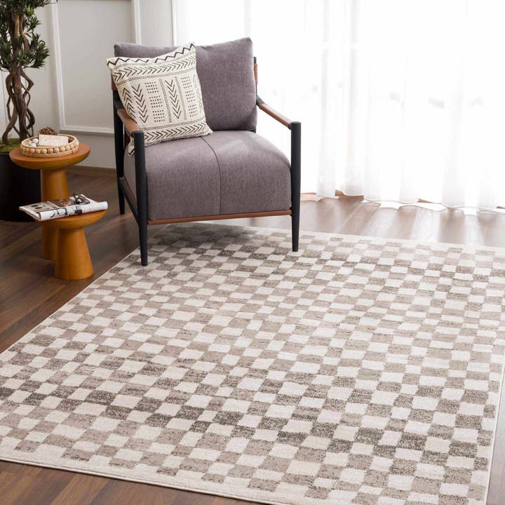 Hauteloom - Wholesale Area Rug - Benjy Beige Checkered Area Rug4