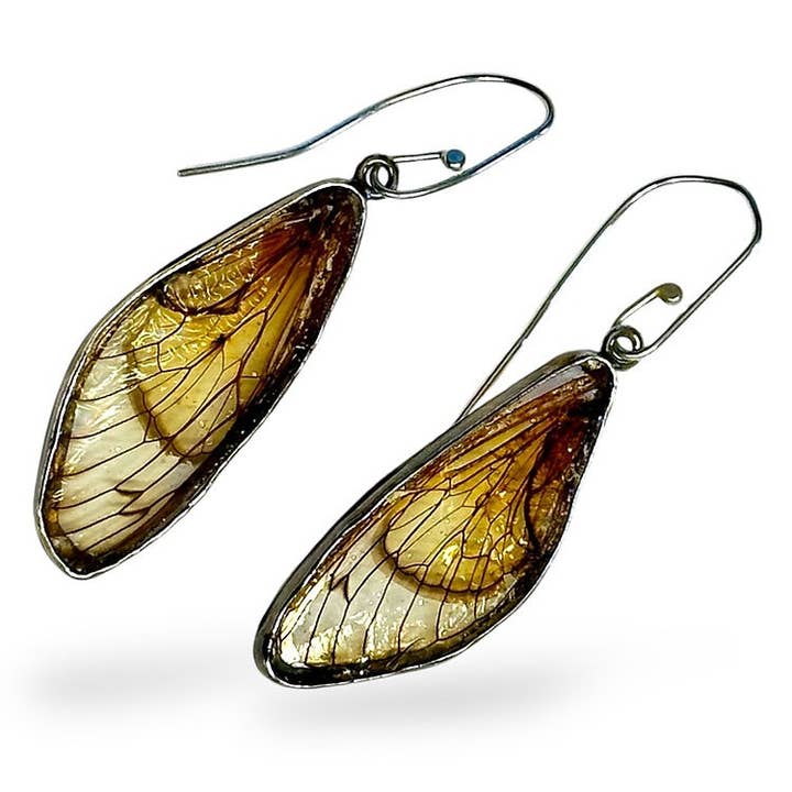 Cicada Wing Earrings for wholesale by Laura Stamper Design