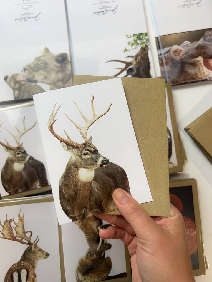 "Prince" White-Tailed Deer Greeting Card for wholesale by Jenna Chartrand Coloured Pencil Fine Artist