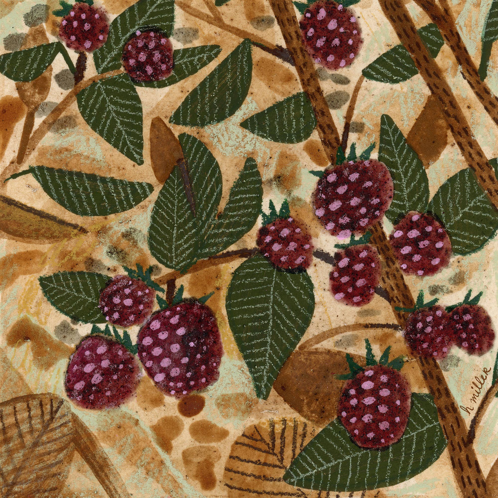 H Miller Ink Illustration Art wholesale products - Wholesale Art Print - Wild Raspberries | Art Print | Rustic Wall Art & Home Decor2