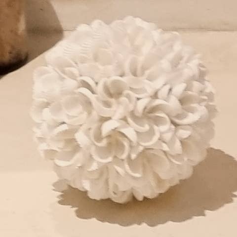 BOULE COQUILLAGE pour la vente par Bali and co