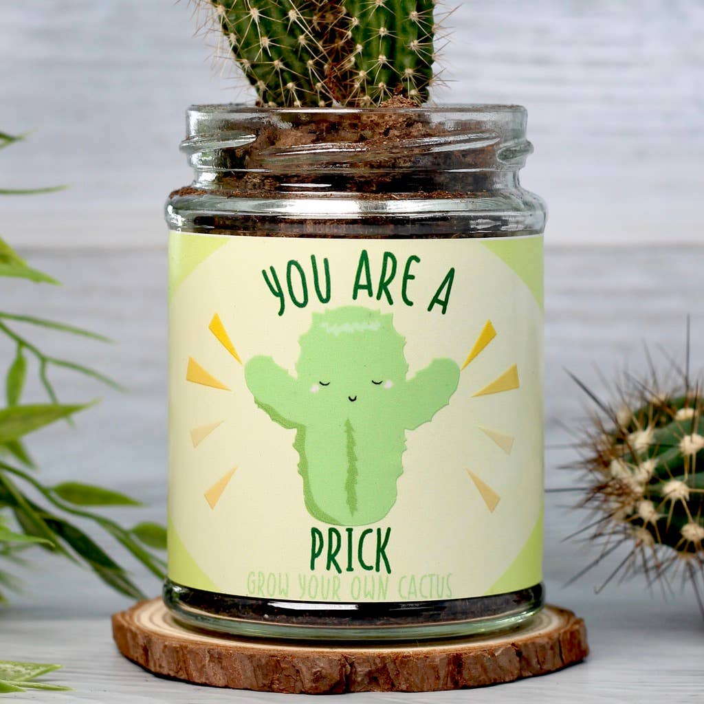 BEEcycle - Wholesale Plant Seeds - Cactus Jar Grow Kit