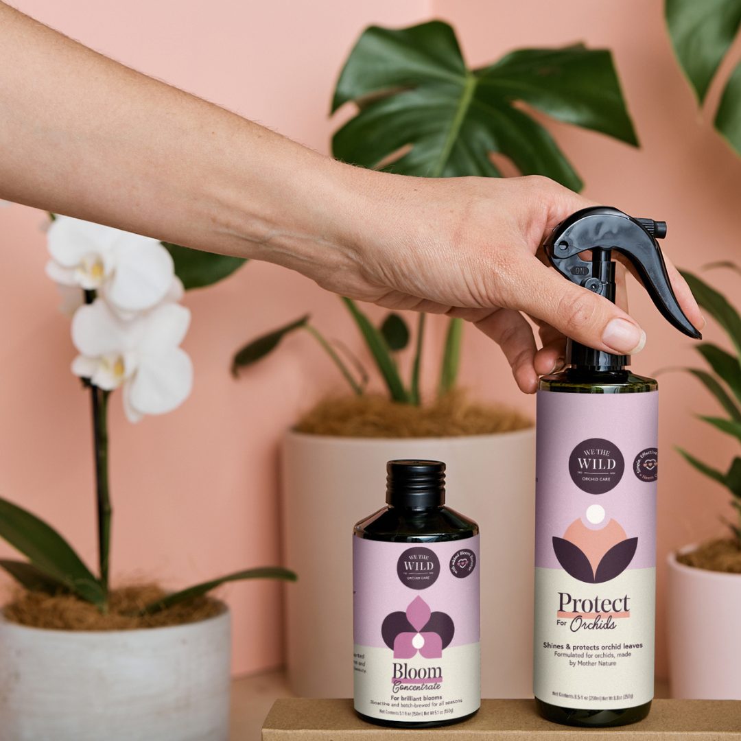 We the Wild Plant Care - Australia - Vente Engrais - Orchid Care Duo - Étui 82