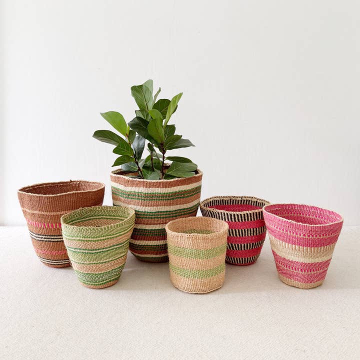 Lagerpflanzenkorb - Sortiment 627 (Einzelstück) für den Großhandel von Amsha