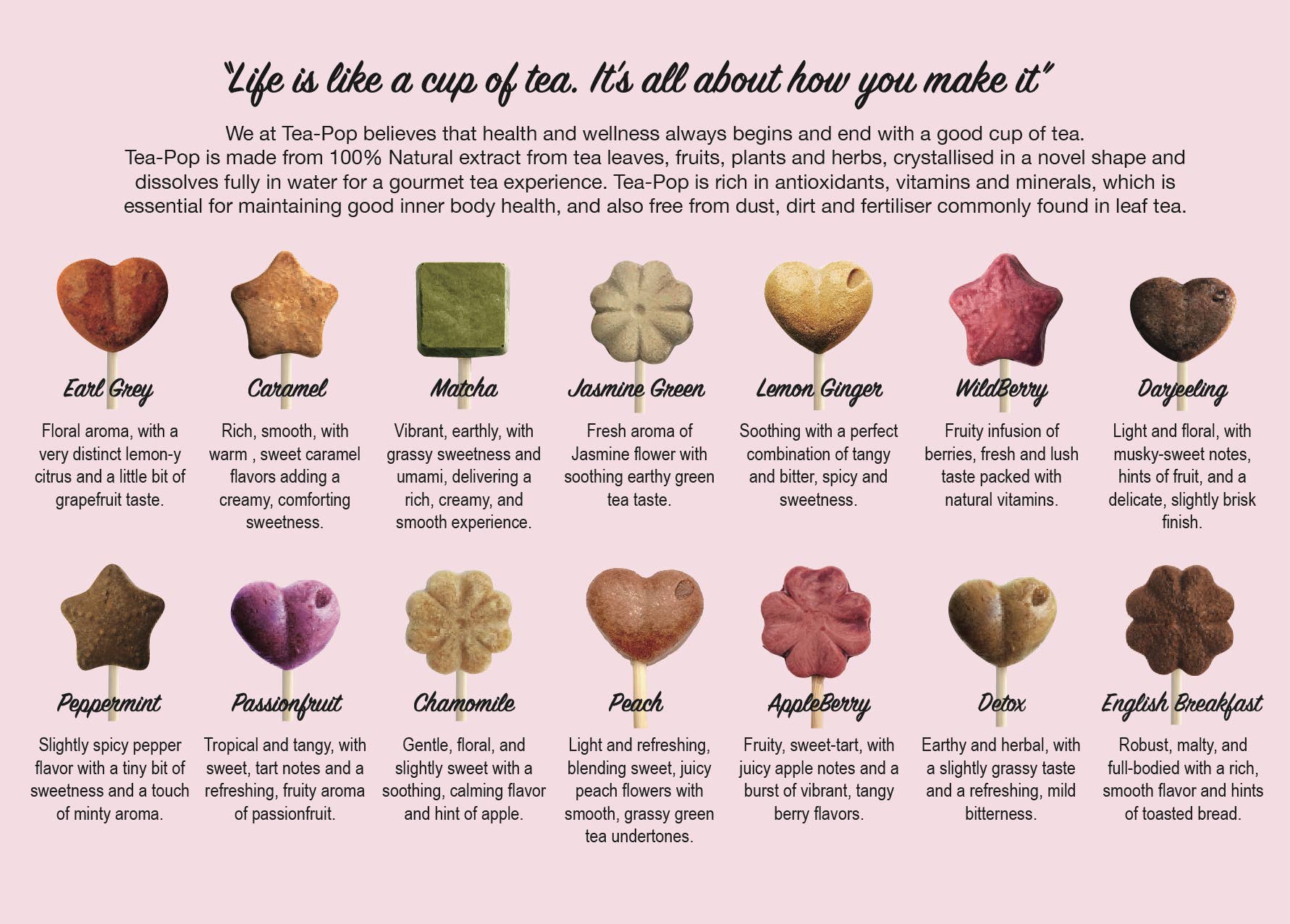 Northern Tea Company - Wholesale Health/Detox Tea - Darjeeling Gourmet TEA on-a-stick! / (20x stick Tray)4