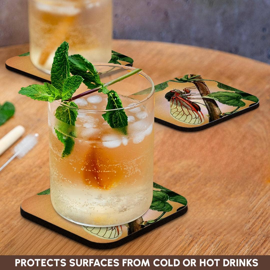 3dRose - Wholesale Coasters - 3dRose, Cicada - cicada, cicadas, magicicada septendecim, insect, insects, bugs, winged insects, Coaster9