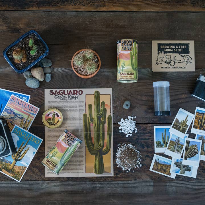 The Jonsteen Company - Wholesale Plant Seeds - Saguaro Cactus | Seed Grow Kit