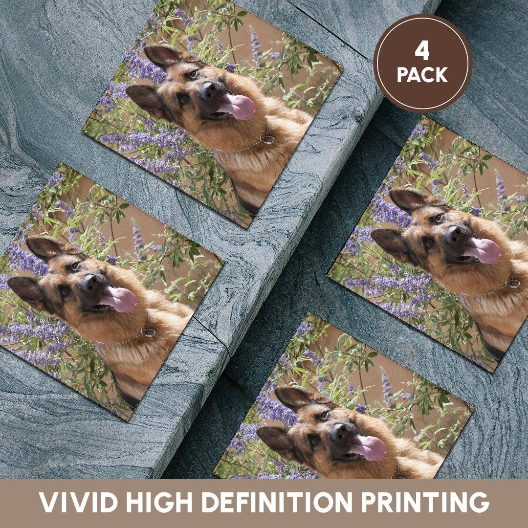 3dRose - Wholesale Coasters - 3dRose, German Shepherd., Coaster5