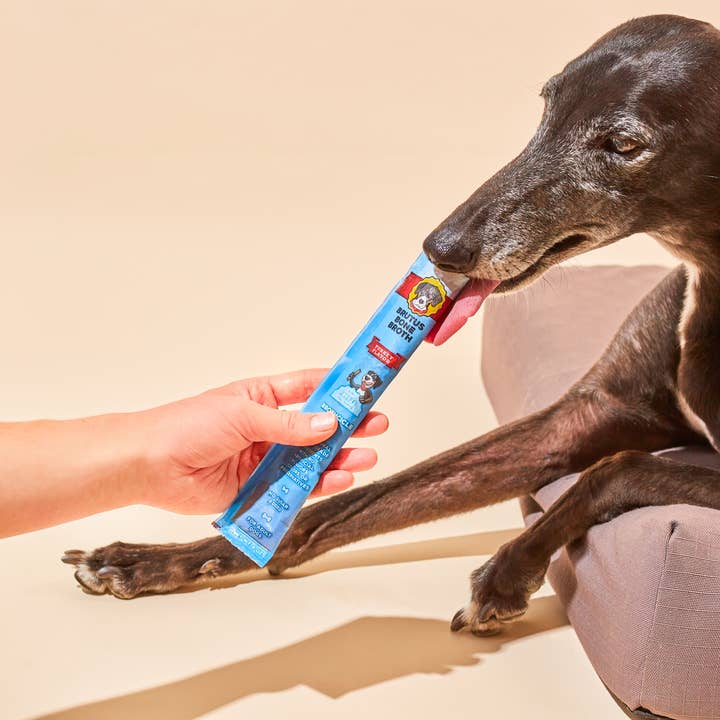 Brutus Broth - Wholesale Pet Treats - Dog - Brutus Broth Brothcicles 6-Pack Pouch2