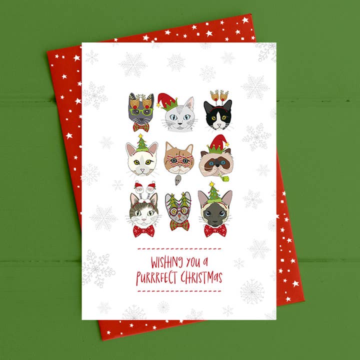 Ti auguro un Natale miagoloso - Biglietto di auguri per la vendita all'ingrosso da parte di Dandelion Stationery