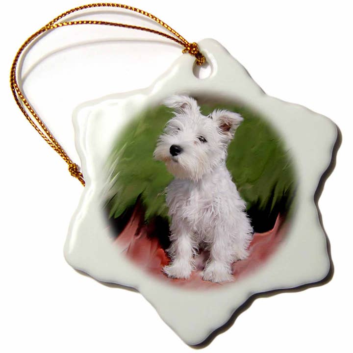 3dRose - Wholesale Ornament - 3 inch Snowflake Porcelain Ornament White Schnauzer