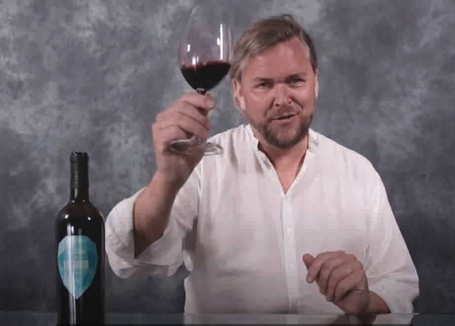 CHATEAU LAGRANGE - Wholesale Red Wine - Château Lagrange Emeraude 2020 AOC Côtes de Bourg2