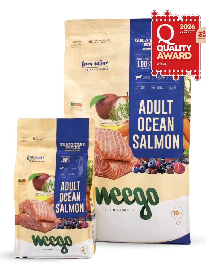 Weego Grain Free Dog Food Adult Ocean Salmon 400gr for wholesale by Weego