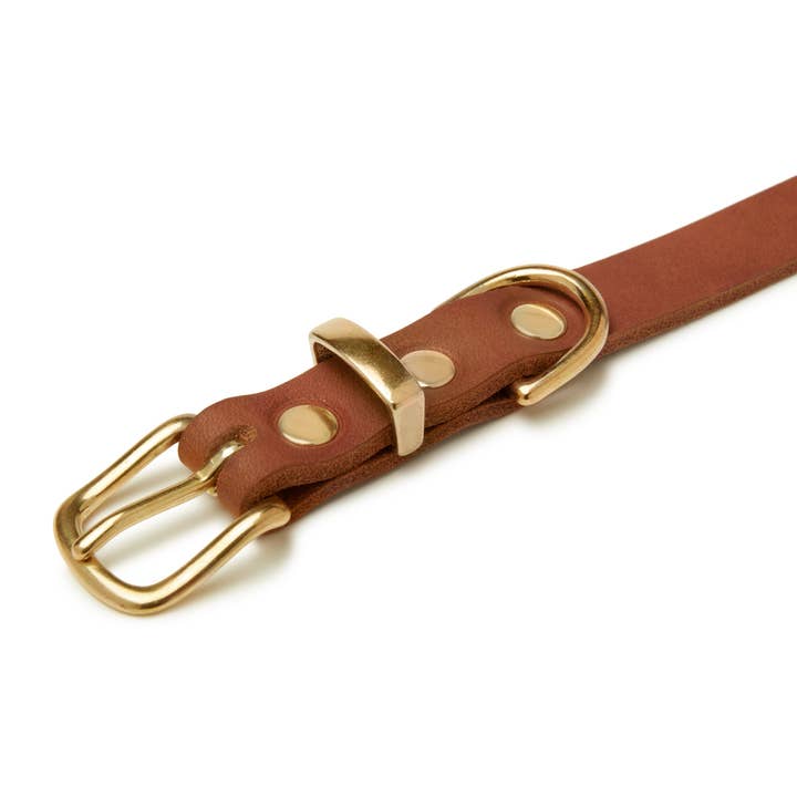 Molly and Stitch - Wholesale Pet Collar - Dog - Butter Leather Dog Collar - Sahara Cognac4