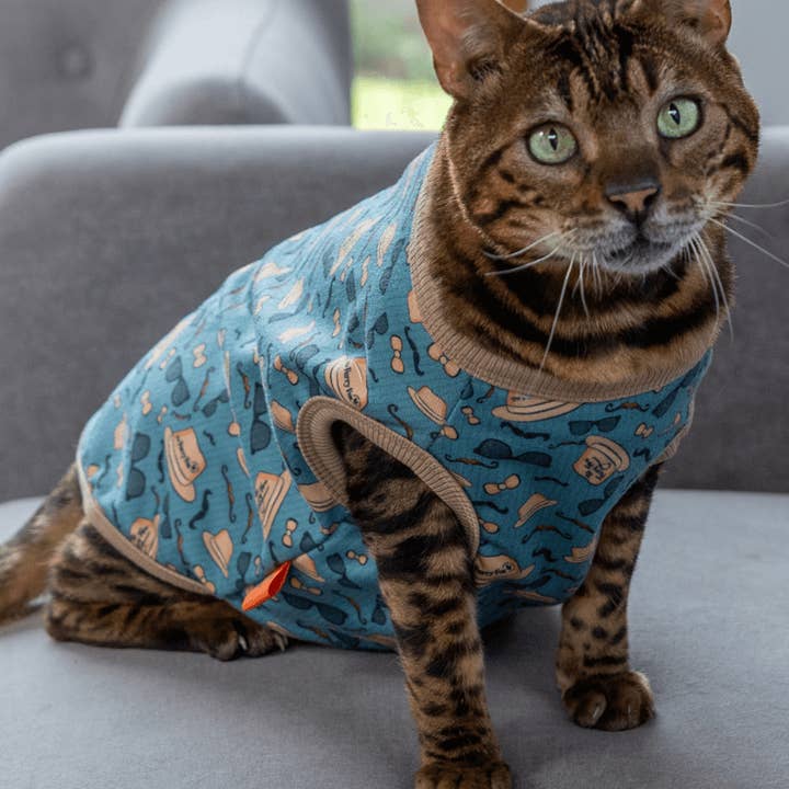 Cool Catnip : chapeaux, lunettes et vêtements pour chats élégants pour la vente par The Furry Fox