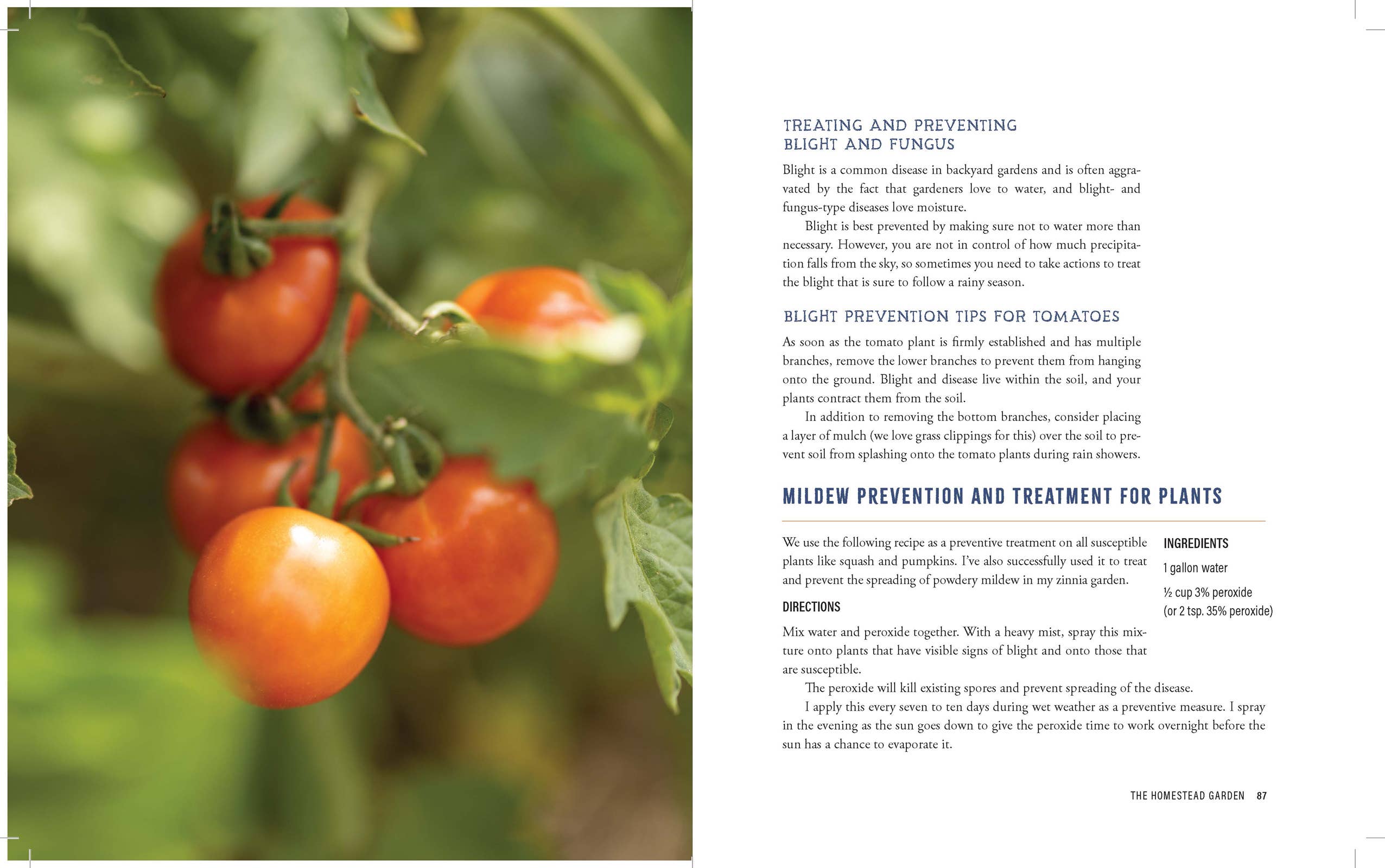 Harvest House Publishers Gift & Specialty Books - Wholesale Biography & Memoir - The Heart of the Homestead4