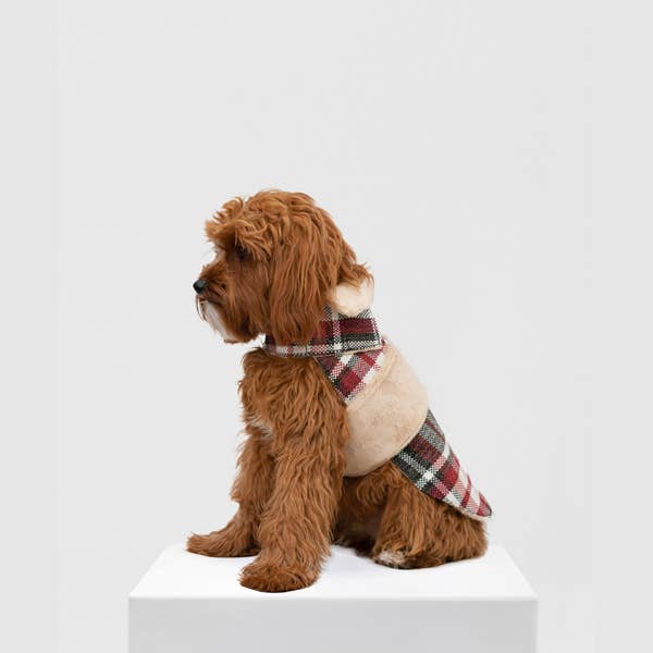 ARISTOPET – wholesale Ytterkläder - Hund – HUNDROCK LÖV7