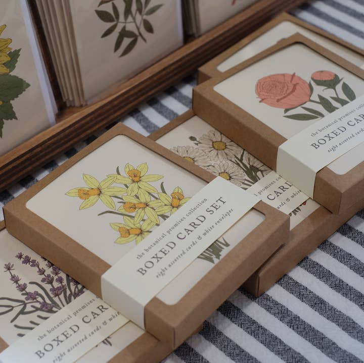 annalisa v. sawtell - Wholesale Stationery/Notecard Set - The Botanical Promises Collection | Boxed Set of 8 | A2