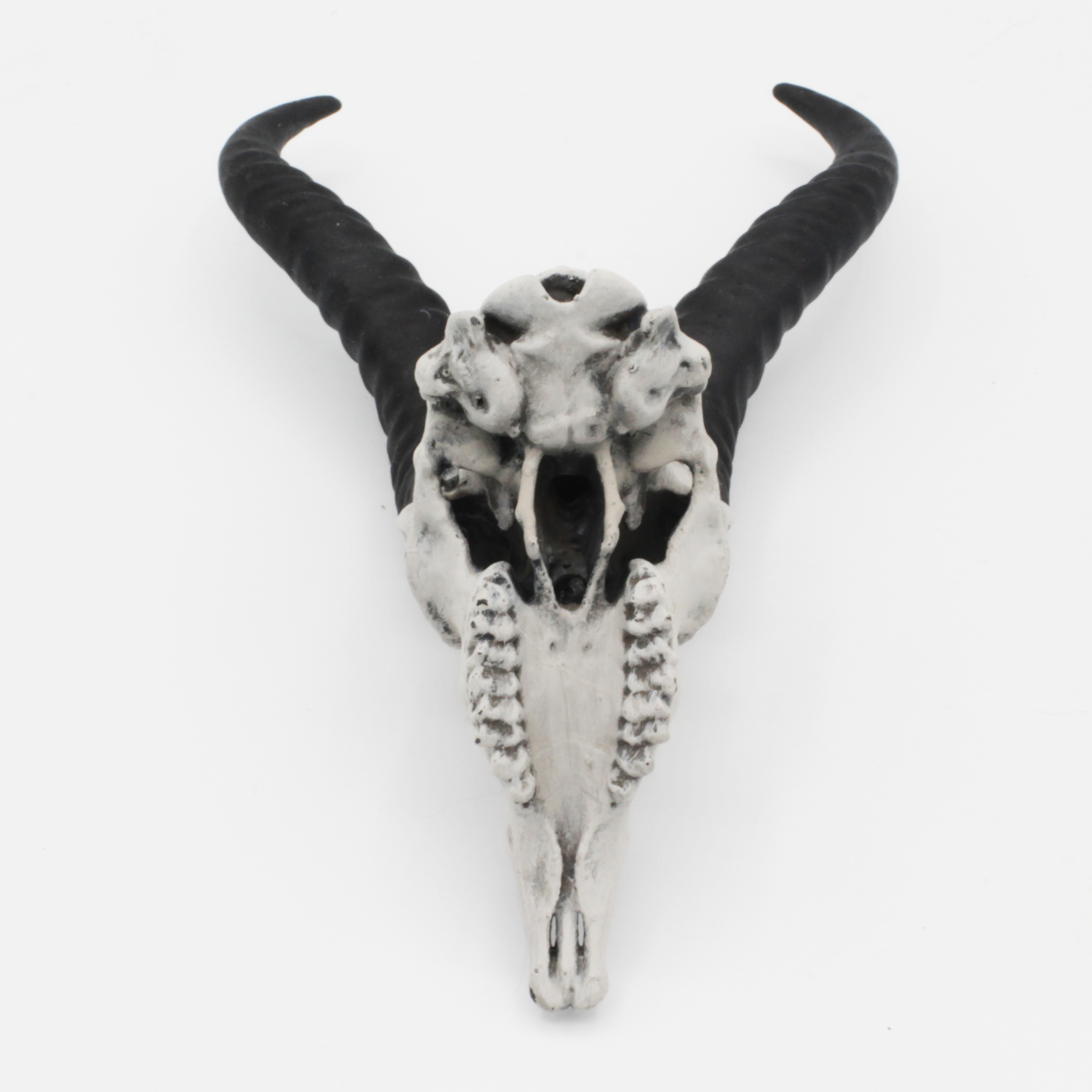 The Scale Grail - Wholesale Decorative Figurine - Springbok Skull - 4mm -1:2 Scale skull miniature replica oddities by The Scale Grail1