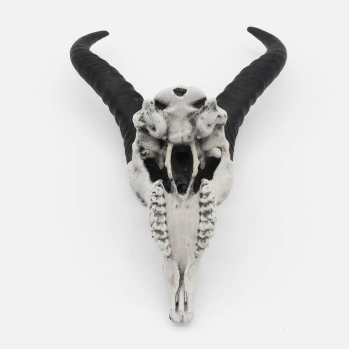 The Scale Grail - Wholesale Decorative Figurine - Springbok Skull - 4mm -1:2 Scale skull miniature replica oddities by The Scale Grail1