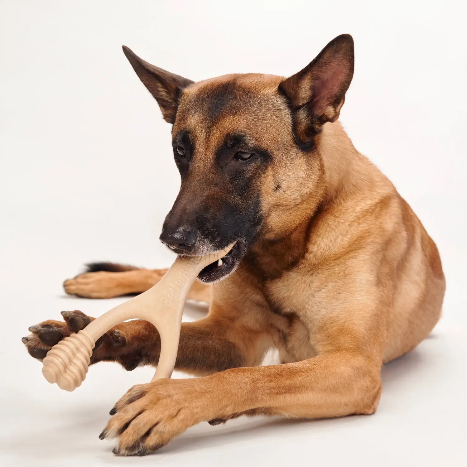 BetterBone – Brinquedo de mastigar para cão - Cão por atacado – BetterBone Brinquedo de Mastigar Osso - Grande Médio Clássico8