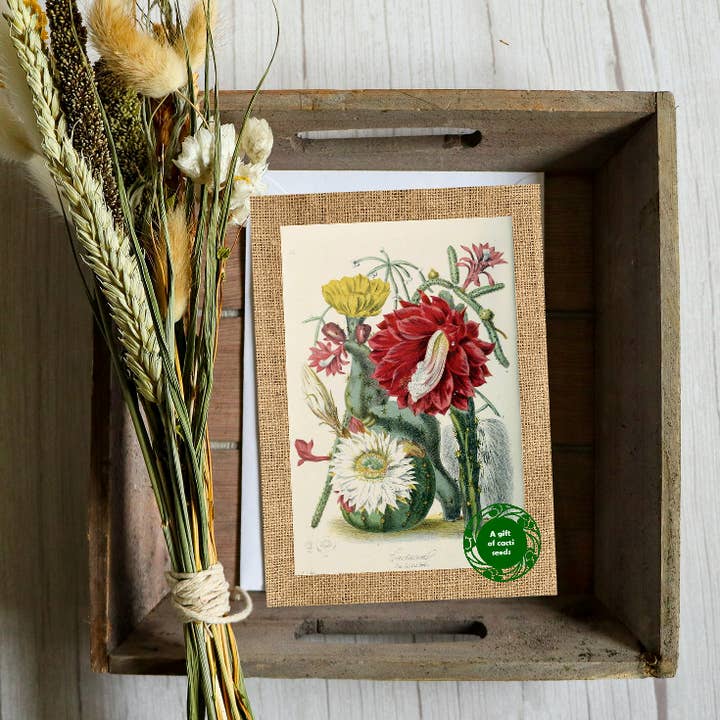 Greeting card with a gift of seeds - Vintage Cacti for wholesale by Seeds with Love