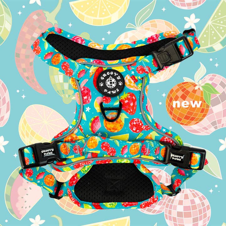 Grip & Groove Harness - Funkin' Fruit for wholesale by Groovy Paws