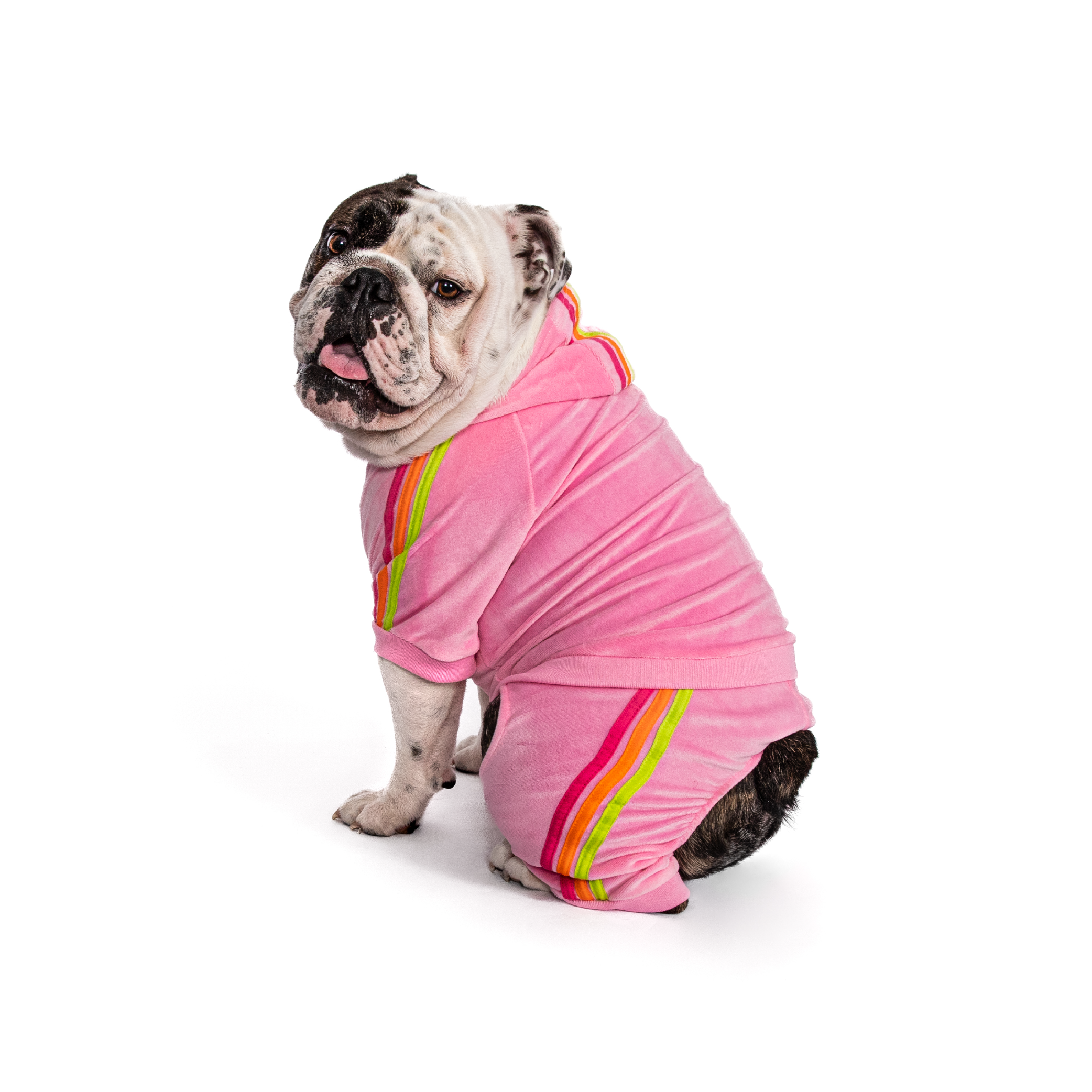 fabdog – Großhandel Haustier-Hoodie – Hund – Rosa Velours-Jogger1