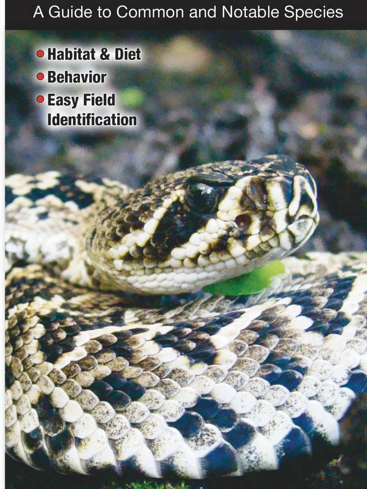 Snakes of North Carolina, South Carolina and Georgia for wholesale by Quick Reference Publishing, Inc