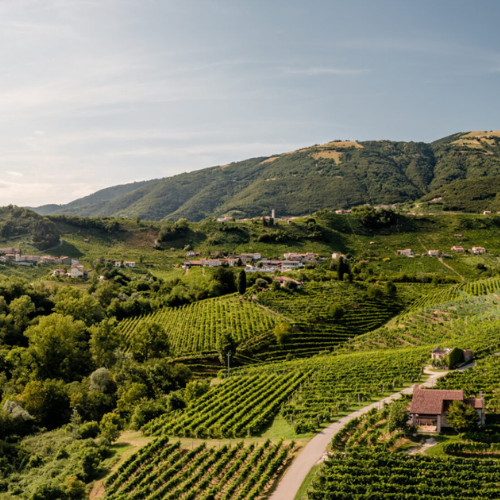 Maargo Food & Wine Wholesale – wholesale Champagne/sparkling wine – Premium Prosecco Extra Dry DOCG Le Bertole 75cl 11%Vol.2