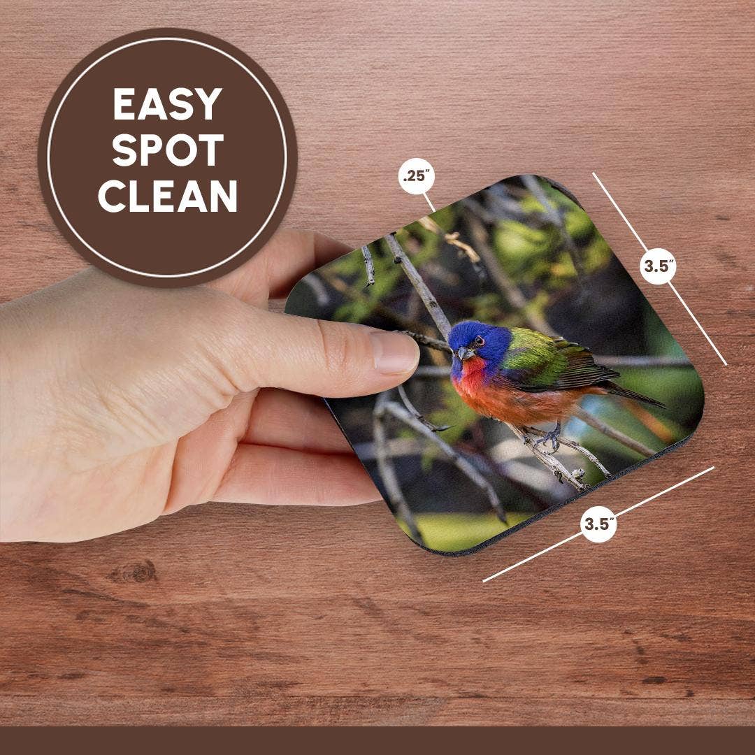 3dRose - Wholesale Coasters - 3dRose, A beautiful male painted bunting., Coaster13