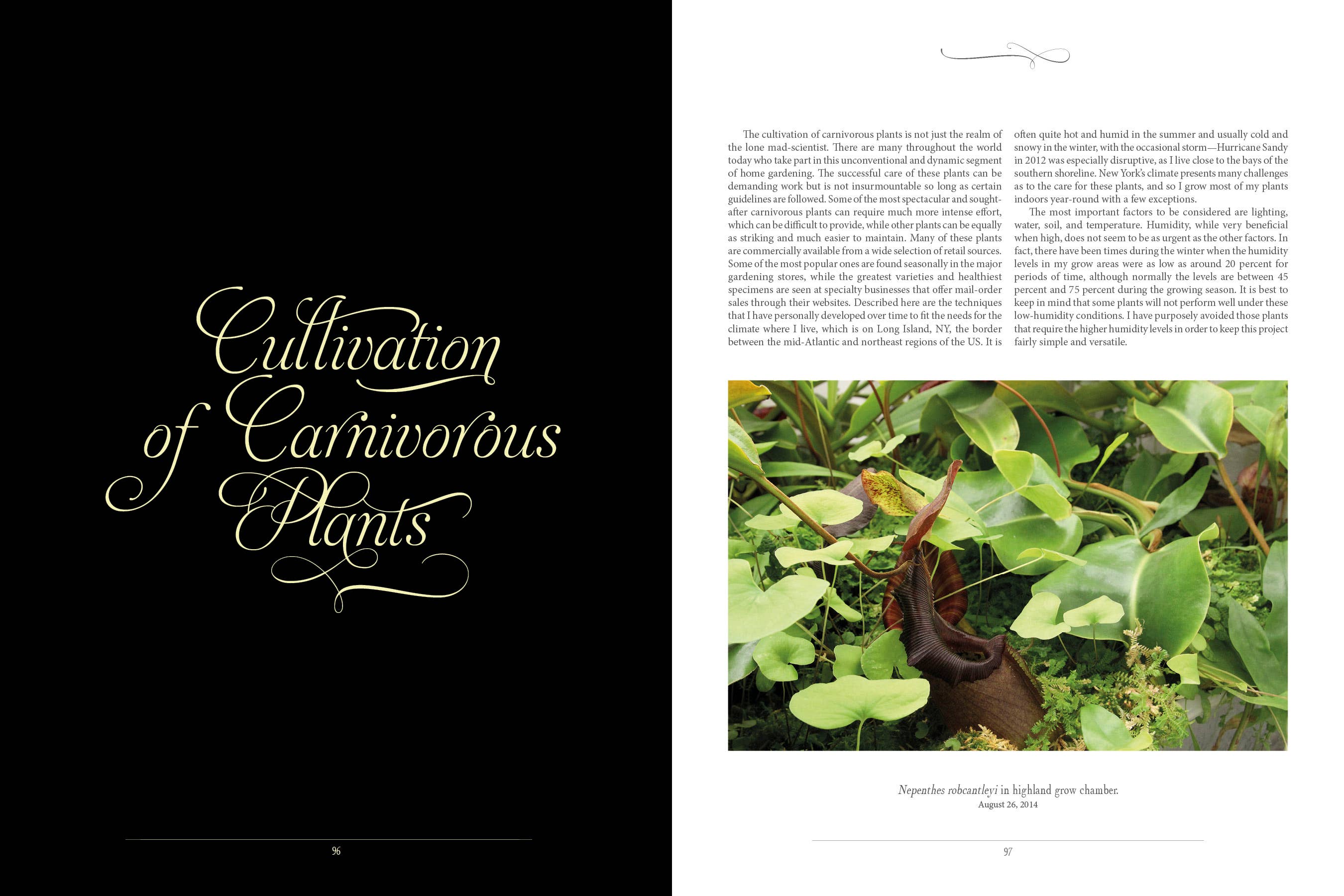 Schiffer Publishing - Venta al por mayor Nature & Outdoors - La siniestra belleza de las plantas carnívoras5