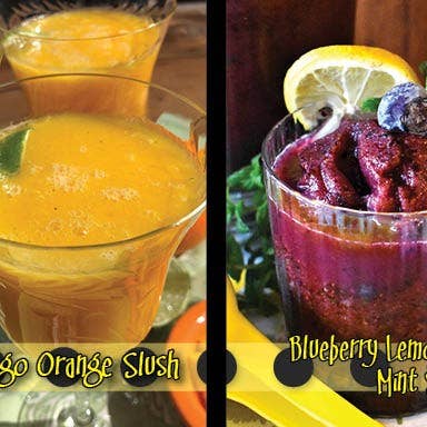 Lemon Poppy Inc. - Wholesale Cookbooks & Food - DISPLAY copy of When Life Gives You a Lemonade Stand - ONE8