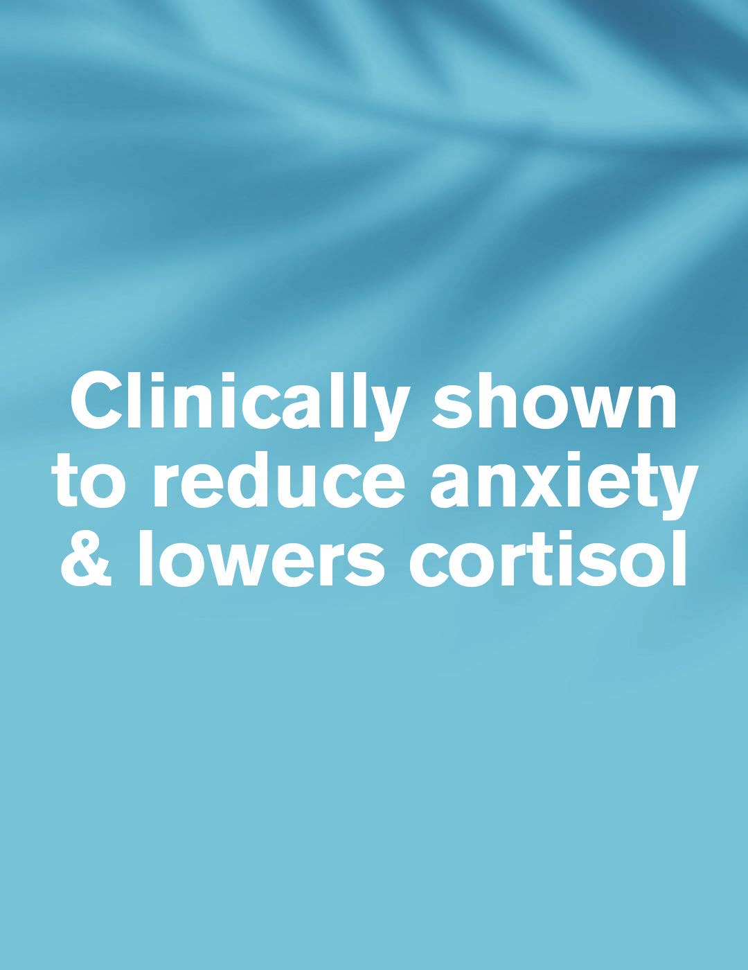 DR.VEGAN – wholesale Oral supplement/vitamin – Ashwagandha KSM-66® 500mg | 30 Capsules | Organic2