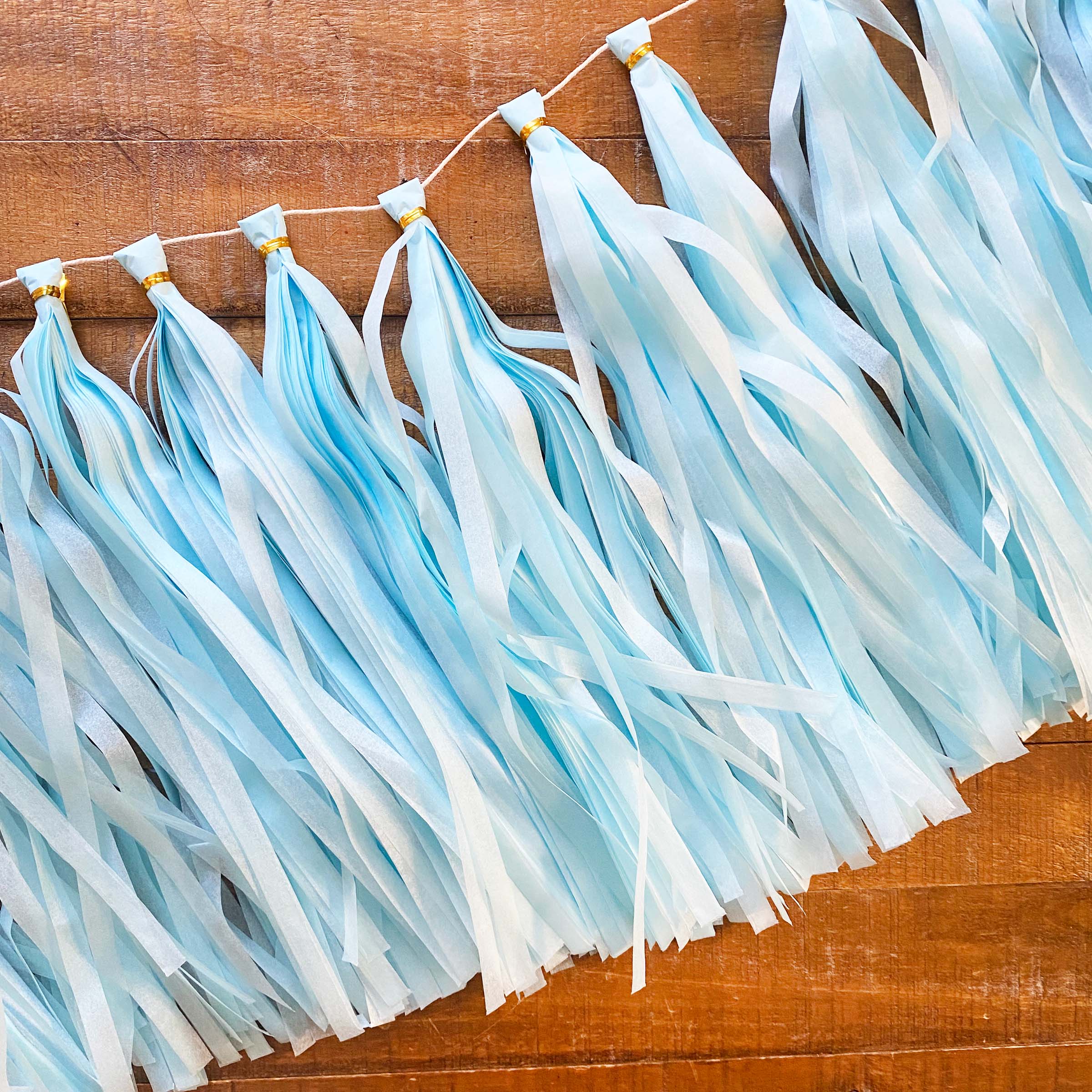 Ellie's Party Supply - Wholesale DIY craft kit - Pastel Blue Paper Tassel Tail - Tassel DIY Garland Kit1