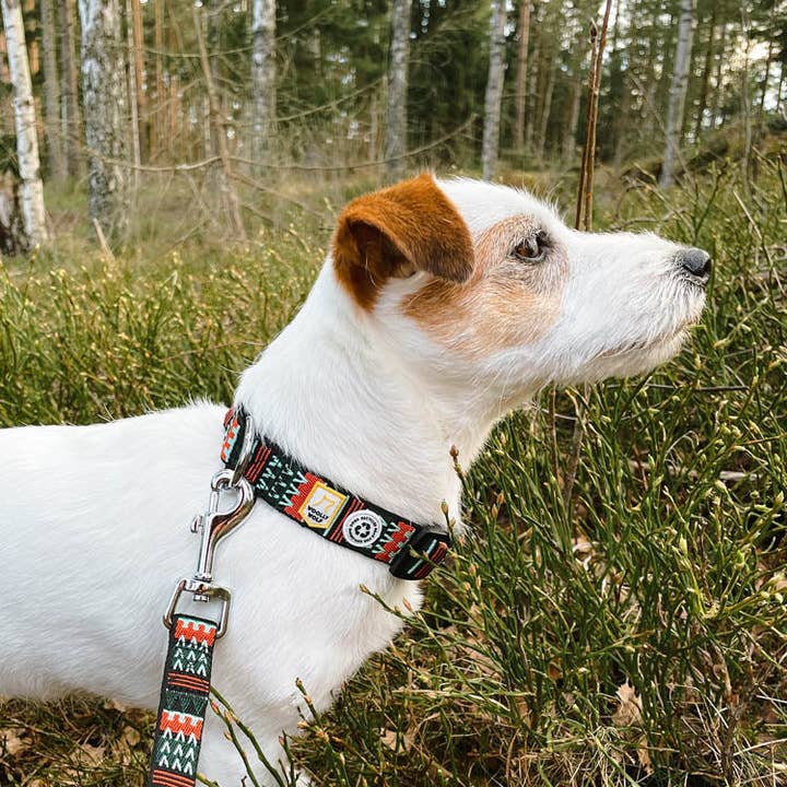 Woolly Wolf - Wholesale Pet Leash - Dog - Woodland Dog Leash Recycled (RPET)