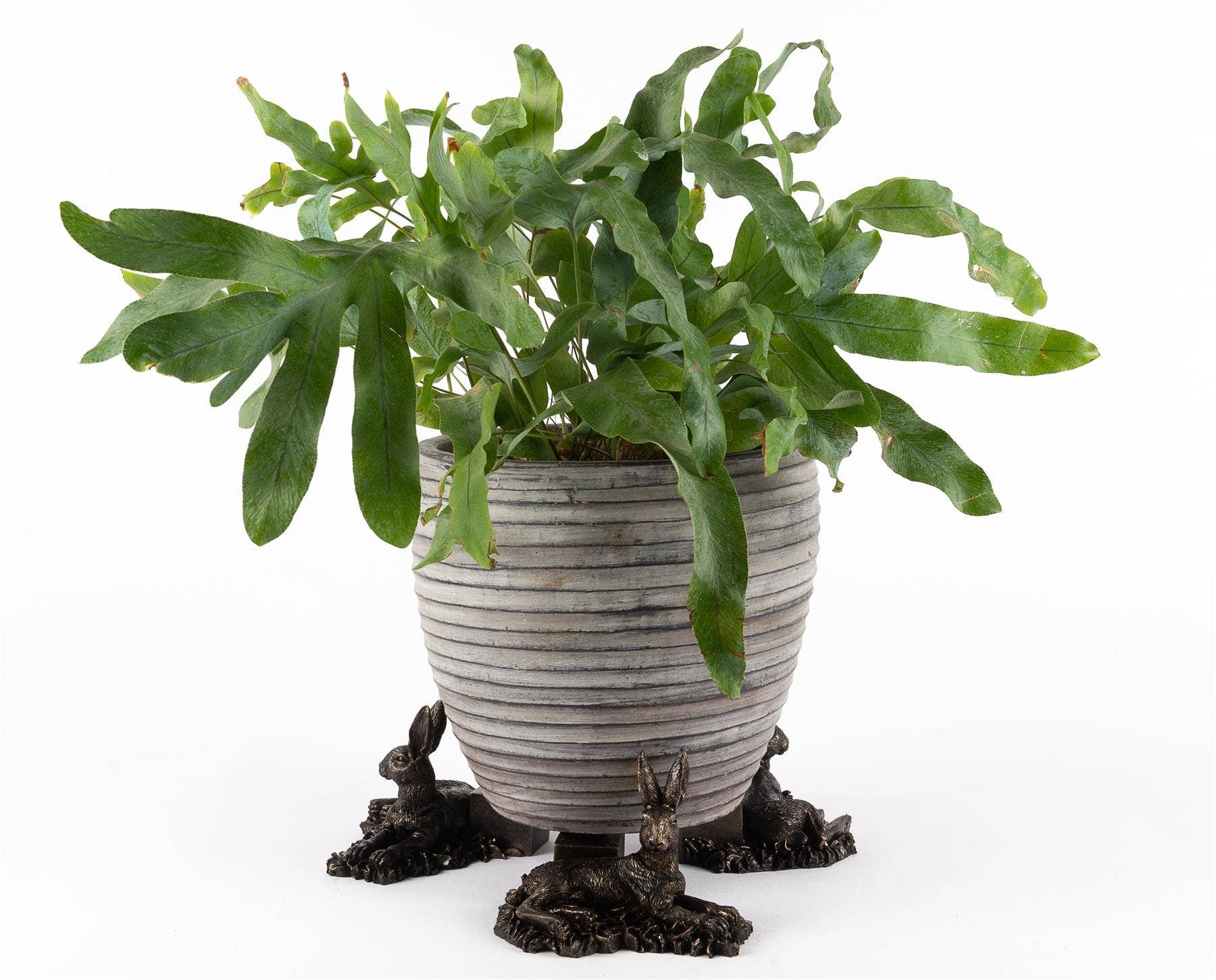 Jardinopia US - Wholesale Plant Pot - Resting Hare Plant Pot Feet - Set of 34