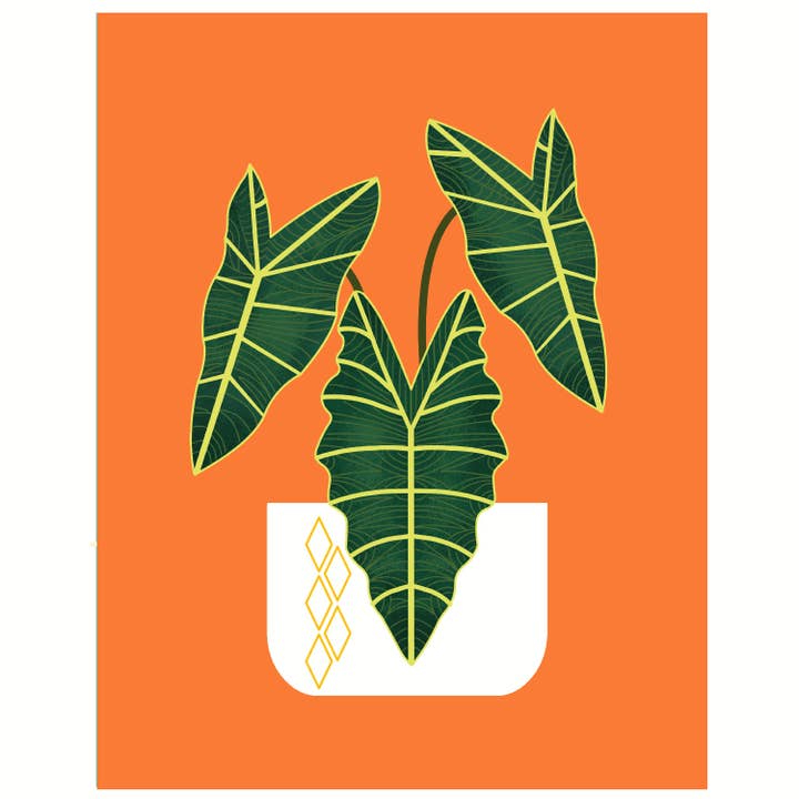 Alocasia Amazonica Art Print por atacado de Amber Leaders Designs