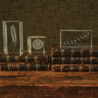 HomArt – Großhandel Tischdeko – Glas-Hologramm - Feder2