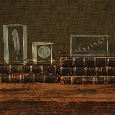 HomArt – Großhandel Tischdeko – Glas-Hologramm - Feder2