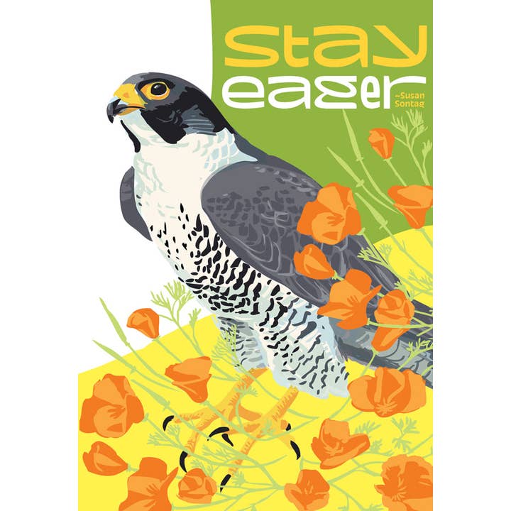 RIN-08 Bleib Eifrig Inspirierende Zitat Alltagsgrußkarte für den Großhandel von Rigel Paper