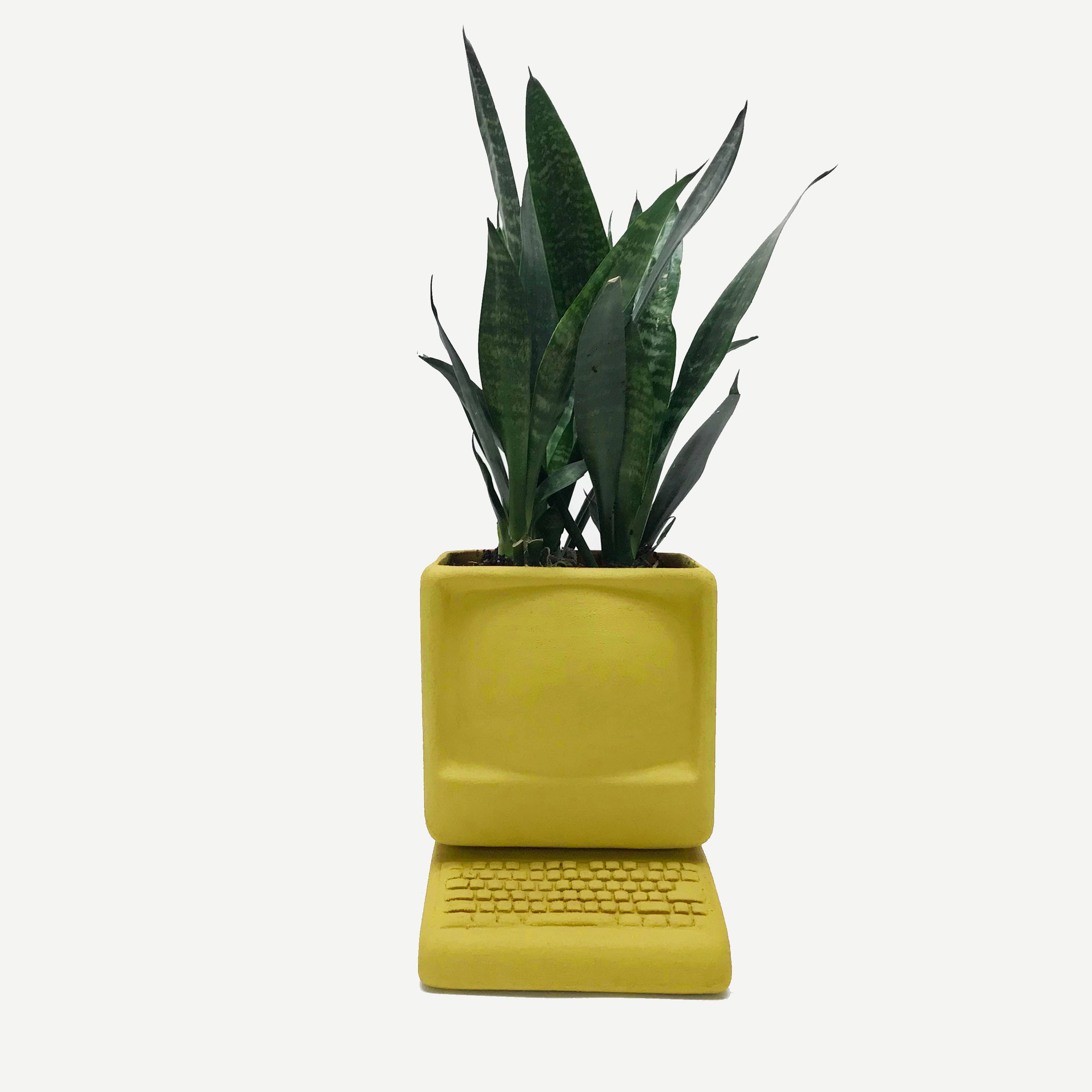 Wyatt Little - Wholesale Plant Pot - Small Computer Planter1
