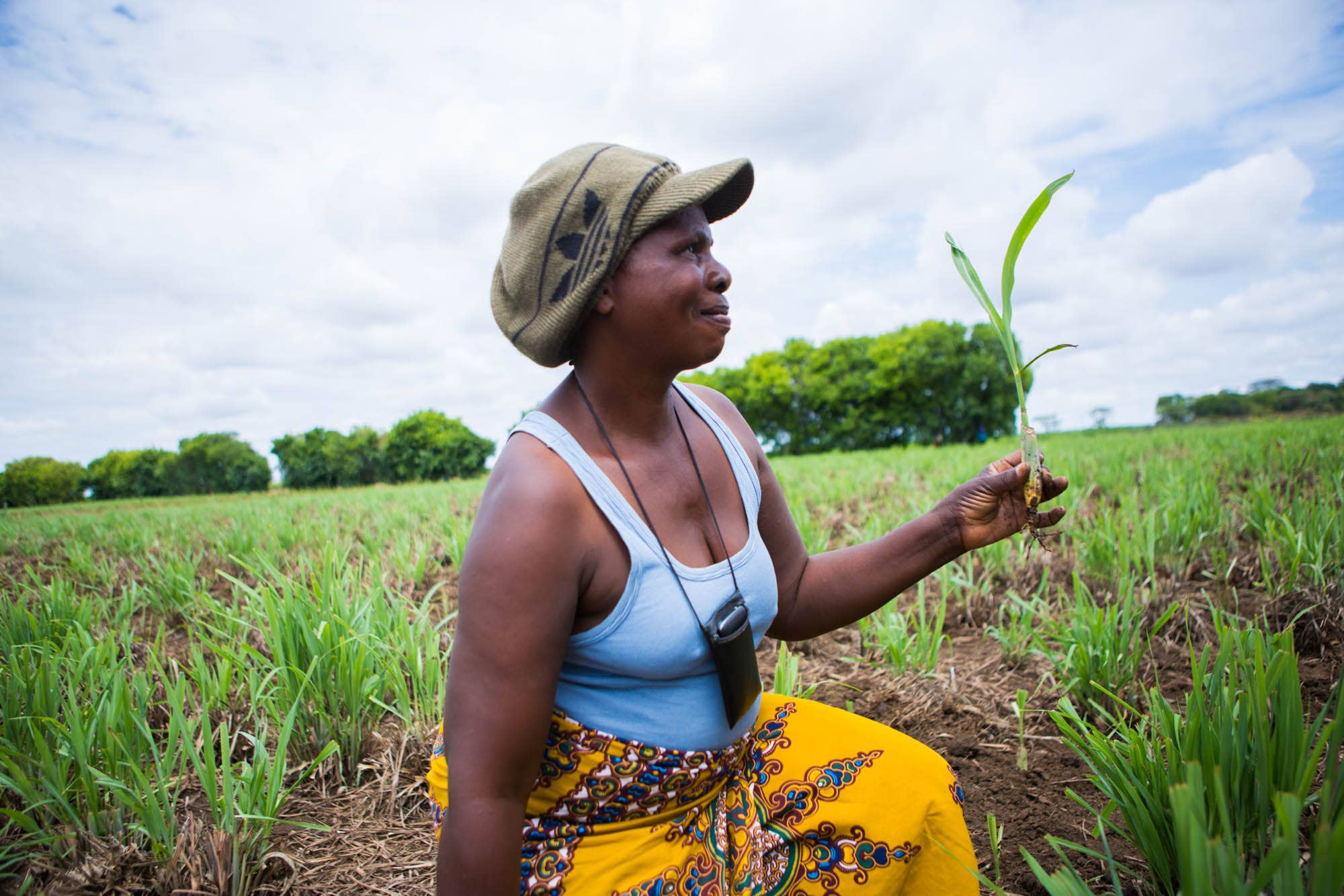 Zambeezi - Vente Assortiment de baumes à lèvres - Baume à Lèvres Variety Lot de 64