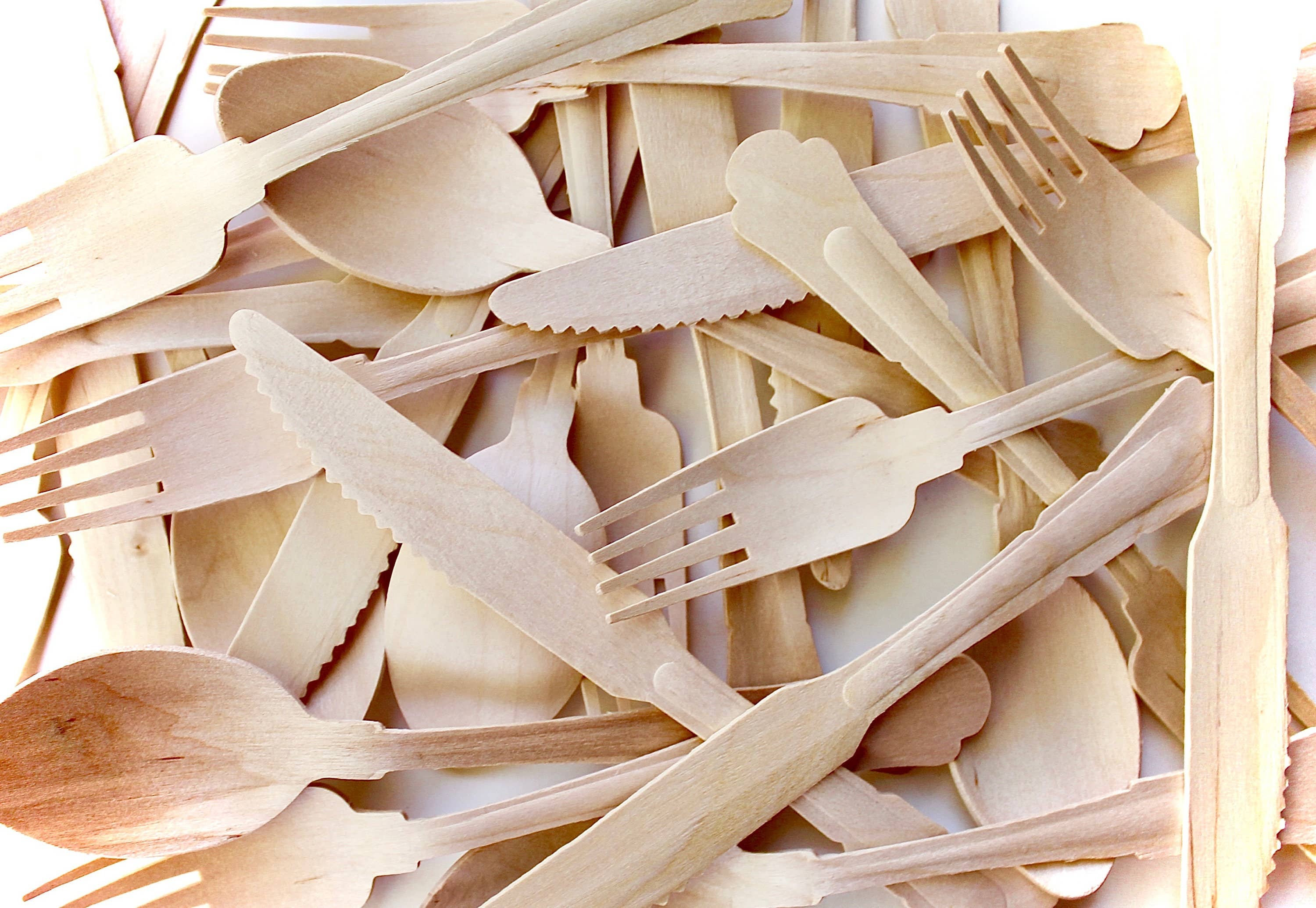 Eco Elegant Table Ware - Wholesale Disposable Plate - Party Palm Leaf Plates 10" Round  -6"  Heart - Utensils - Pa1