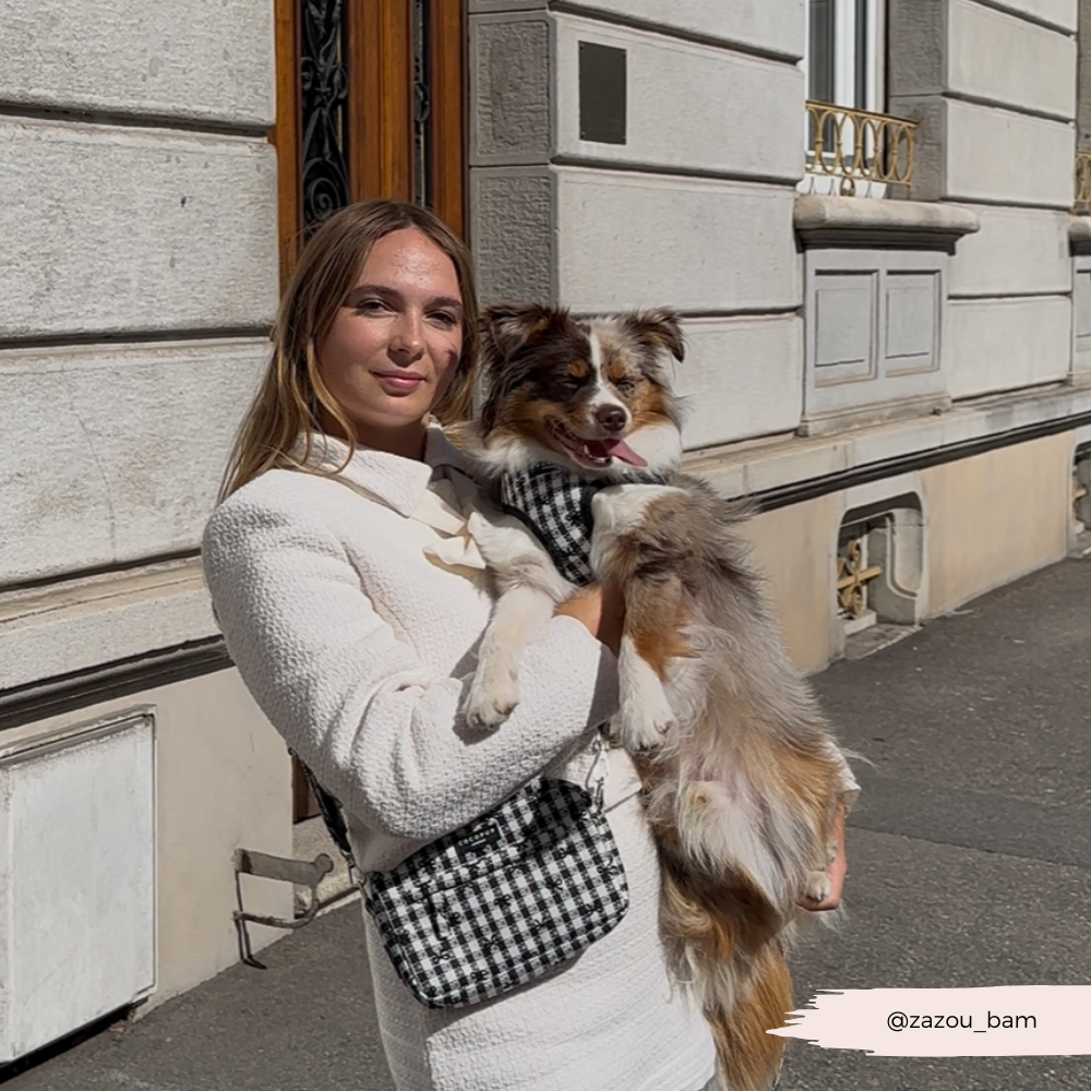 Cocopup London - Wholesale Bag Strap - Women's - Bag Strap - Pup in Paris4